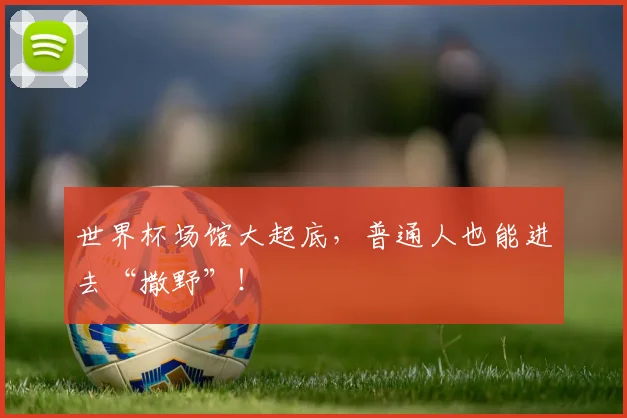 世界杯场馆大起底,普通人也能进去“撒野”!