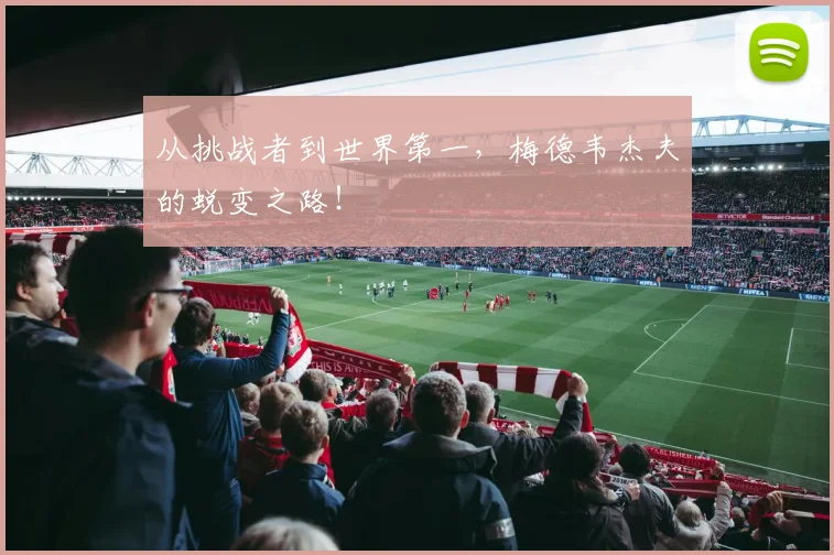 从挑战者到世界第一,梅德韦杰夫的蜕变之路!
